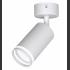 Потолочная люстра PRD-G 0021/1 WH+FR
