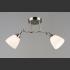 Потолочная люстра 6579/2 SL